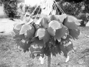 Aus Plastikflaschen können Tulpen entstehen. | Bild: Projekt “ETO-Dvor“