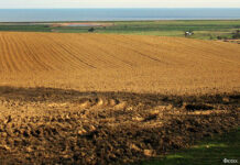 Найти себя, или хорошо там, где нас нет