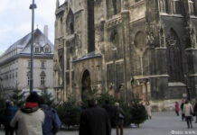 Мои австрийские сюжеты На площади перед собором Святого Стефана