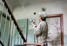 И место в жизни, и работа по душе Ремонт подъезда своими силами