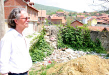 Современная немецкая поэзия Австрийский поэт Петер Хандке