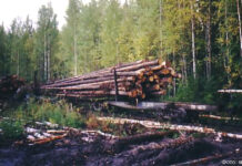 Адаптация Загрузка состава хлыстами