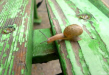 Алматинские писатели «Новой волны»