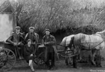 «Я пылинка твоя…» Коллективизация.