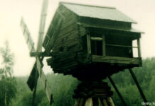 Братья по несчастью Ветряную мельницу строили к новому урожаю.