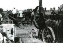 Ворвалась радость в печали В один плуг впрягали до четырех пар быков.