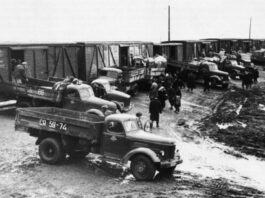 Эхо депортации Многие народы испытали на себе все ужасы депортации.