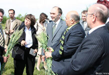 Об этнокультурном возрождении немцев