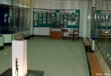 Камень дороже золота В музее палеолита.