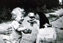 Гость из Прибалтики Не укусит.