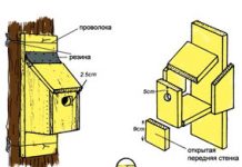 «Птицы в городе». А ты поддержишь? Чертеж синичника.