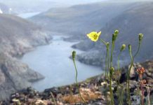 Творчество Шренка: «Уж, и широка степь Киргизская» Река Шренк на Таймыре.