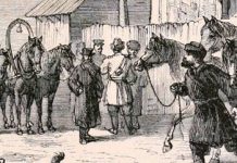 Поездка в Туркестанский край Почта в Семиречье.