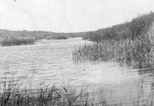 Как река Нура прославила село Самарканд Река Нура у Самарканда | Архив автора