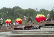 Праздник яблок «Apple Fest» Программа яблочного фестиваля с самого начала обещала быть разнообразной и насыщенной.