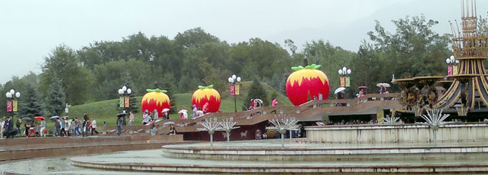 Праздник яблок «Apple Fest»