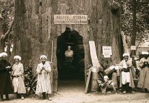 Карьера провизора Иеронима Краузе (окончание) Памятник Краузе. 1909. Ташкент.