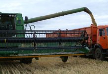 Вклад немецкой диаспоры в становление и развитие Павлодарской области Вклад в развитие экономики края