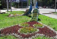 Царь-птица в Алматы Царь-птица в Алматы | Фото: Мария Мановски