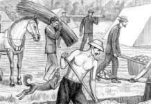 Два интервью с Гюнтером Гуммелем Еленендорф