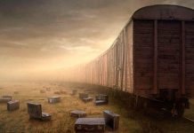 «Люди истории судьбы» «Люди… истории… судьбы…»