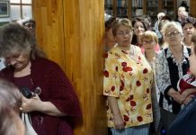 Академия сеньоров Академия сеньоров | Фото ДАЦ