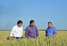 Переход к «зеленой экономике»