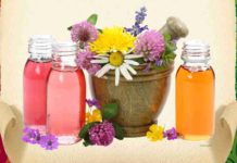 Как повысить иммунитет народными средствами