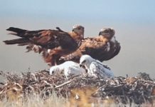 Заповедная территория