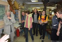 По пути Гумбольдта