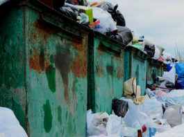 Немецкое решение экопроблем