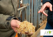 Курсы повышения квалификации в Баварском сельскохозяйственном образовательном центре Триздорф