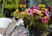 Четверть века – не предел!