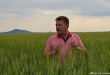 Путеводная звезда семьи Шоль