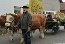 А как у них там…