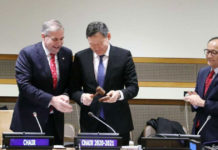 Казахстан возглавил глобальную группу РСНВМ