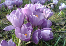 Поздравляем с праздником весны!