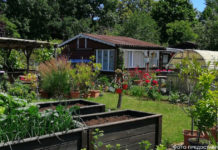 Эмиграция… на дачу