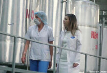 Авангард Анны Аберле