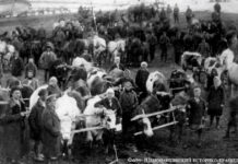 Как это было 100 лет назад: немцы Казахстана в 1921 году Подготовка к полевым работам.