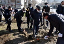 Цвети, мой Алматы!