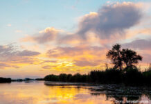 База «У Эвальда» – место, в которое хочется вернуться вновь…