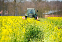 Модель экономического развития сельских территорий Казахстана