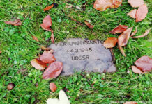 Ступени истории