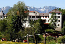 Макс-Рилл и философский камень