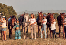 Конкур Александры Ден