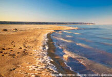 Рост объема воды в Аральском море Аральское море