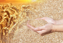 Никакого дефицита нет, в Казахстане достаточно зерна