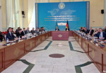 Перспективы сотрудничества Германии с Новым Казахстаном