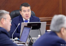 Ресеймен шекарада қазақстандықтардың кедергісіз өтуі үшін жеке жол жолақтары бөлінді Алихан Смаилов